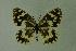  ( - DNAwthmel 070)  @14 [ ] Copyright (2009) Unspecified Unspecified