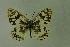  ( - DNAwthmel 073)  @14 [ ] Copyright (2009) Unspecified Unspecified