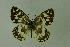  ( - DNAwthmel 075)  @14 [ ] Copyright (2009) Unspecified Unspecified