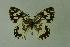  ( - DNAwthmel 080)  @14 [ ] Copyright (2009) Unspecified Unspecified