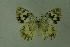  ( - DNAwthmel 080)  @14 [ ] Copyright (2009) Unspecified Unspecified
