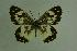  ( - DNAwthmel 086)  @14 [ ] Copyright (2009) Unspecified Unspecified