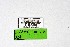  ( - DNAwthTarucus024)  @11 [ ] copyright (2023) Wolfgang tenHagen Unspecified