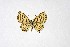  ( - DNAwthTarucus025)  @11 [ ] copyright (2023) Wolfgang tenHagen Unspecified