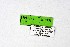  ( - DNAwthTarucus025)  @11 [ ] copyright (2023) Wolfgang tenHagen Unspecified