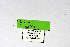  ( - DNAwthIolana001)  @11 [ ] copyright (2023) Wolfgang tenHagen Unspecified