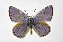  ( - DNAwthIolana002)  @11 [ ] copyright (2023) Wolfgang tenHagen Unspecified