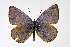  ( - DNAwthIolana003)  @11 [ ] copyright (2023) Wolfgang tenHagen Unspecified