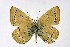  ( - DNAwthIolana003)  @11 [ ] copyright (2023) Wolfgang tenHagen Unspecified