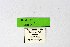  ( - DNAwthIolana004)  @11 [ ] copyright (2023) Wolfgang tenHagen Unspecified