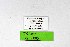 ( - DNAwthIolana005)  @11 [ ] copyright (2023) Wolfgang tenHagen Unspecified