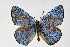  ( - DNAwthIolana006)  @11 [ ] copyright (2023) Wolfgang tenHagen Unspecified