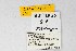  ( - DNAwthSatyrium204)  @11 [ ] copyright (2023) Wolfgang tenHagen Unspecified