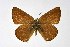  ( - DNAwthIolana007)  @11 [ ] copyright (2023) Wolfgang tenHagen Unspecified
