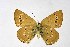  ( - DNAwthIolana007)  @11 [ ] copyright (2023) Wolfgang tenHagen Unspecified