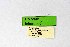  ( - DNAwthIolana007)  @11 [ ] copyright (2023) Wolfgang tenHagen Unspecified