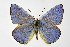  ( - DNAwthIolana008)  @11 [ ] copyright (2023) Wolfgang tenHagen Unspecified