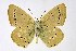  ( - DNAwthIolana008)  @11 [ ] copyright (2023) Wolfgang tenHagen Unspecified