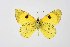  ( - DNAwthEuchloe014)  @11 [ ] copyright (2023) Wolfgang tenHagen Unspecified