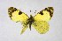  ( - DNAwthEuchloe001)  @11 [ ] copyright (2023) Wolfgang tenHagen Unspecified