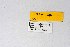  ( - DNAwthEuchloe001)  @11 [ ] copyright (2023) Wolfgang tenHagen Unspecified
