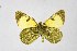  ( - DNAwthEuchloe002)  @11 [ ] copyright (2023) Wolfgang tenHagen Unspecified