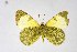  ( - DNAwthEuchloe003)  @11 [ ] copyright (2023) Wolfgang tenHagen Unspecified
