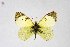  ( - DNAwthEuchloe004)  @11 [ ] copyright (2023) Wolfgang tenHagen Unspecified