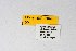  ( - DNAwthEuchloe004)  @11 [ ] copyright (2023) Wolfgang tenHagen Unspecified