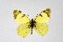  ( - DNAwthEuchloe005)  @11 [ ] copyright (2023) Wolfgang tenHagen Unspecified