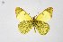  ( - DNAwthEuchloe005)  @11 [ ] copyright (2023) Wolfgang tenHagen Unspecified