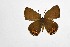  ( - DNAwthSatyrium299)  @11 [ ] Copyright (2023) Unspecified Unspecified