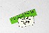  ( - DNAwthSatyrium299)  @11 [ ] Copyright (2023) Unspecified Unspecified