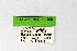  ( - DNAwthSatyrium300)  @11 [ ] Copyright (2023) Unspecified Unspecified