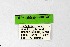  ( - DNAwthSatyrium301)  @11 [ ] Copyright (2023) Unspecified Unspecified