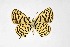  ( - DNAwthTarucus037)  @11 [ ] Copyright (2023) Unspecified Unspecified