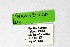  ( - DNAwthTarucus039)  @11 [ ] Copyright (2023) Unspecified Unspecified