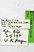  ( - DNAwthTarucus040)  @11 [ ] Copyright (2023) Unspecified Unspecified