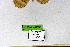  ( - DNAwthChazara002)  @11 [ ] Copyright (2024) Wolfgang ten Hagen Unspecified