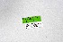  ( - DNAwthSatyrus018)  @11 [ ] Copyright (2024) Wolfgang ten Hagen Unspecified