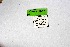  ( - DNAwthSatyrus031)  @11 [ ] Copyright (2024) Wolfgang ten Hagen Unspecified