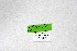  ( - DNAwthSatyrus035)  @11 [ ] Copyright (2024) Wolfgang ten Hagen Unspecified