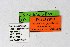  ( - DNAwthAgrodiaetus002)  @11 [ ] copyright (2024) Wolfgang ten Hagen Unspecified
