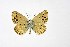  ( - DNAwthTuranana015)  @11 [ ] copyright (2024) Wolfgang ten Hagen Unspecified