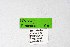  ( - DNAwthTuranana016)  @11 [ ] copyright (2024) Wolfgang ten Hagen Unspecified