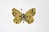  ( - DNAwthTuranana018)  @11 [ ] copyright (2024) Wolfgang ten Hagen Unspecified
