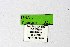  ( - DNAwthTuranana021)  @11 [ ] copyright (2024) Wolfgang ten Hagen Unspecified