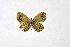  ( - DNAwthTuranana023)  @11 [ ] copyright (2024) Wolfgang ten Hagen Unspecified
