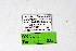  ( - DNAwthTuranana025)  @11 [ ] copyright (2024) Wolfgang ten Hagen Unspecified