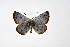  ( - DNAwthTuranana026)  @11 [ ] copyright (2024) Wolfgang ten Hagen Unspecified